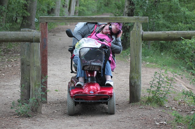 žena na invalidním vozíku.jpg